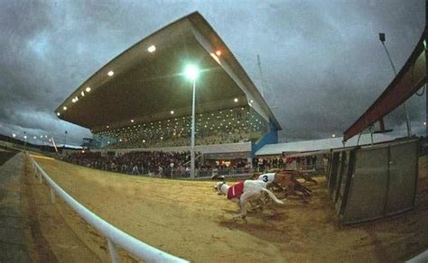 curraheen greyhound track|Greyhound Stadium.